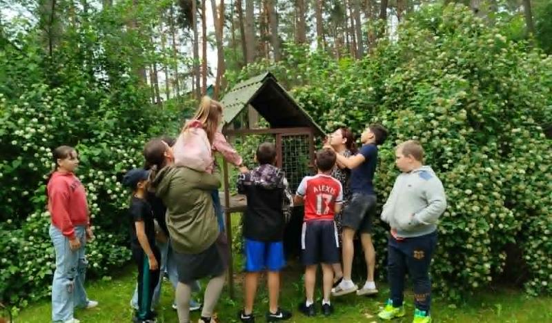 Lobio paieška su užuominomis