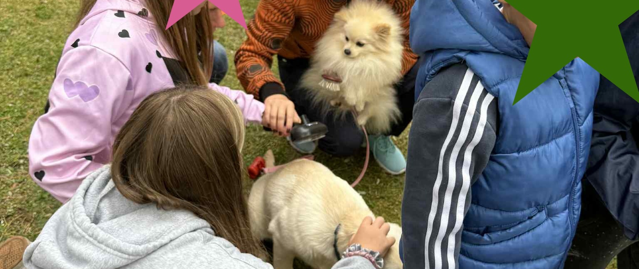 Paskutinis susitikimas su šunimis Varėnos socialinių paslaugų centro kiemelyje 