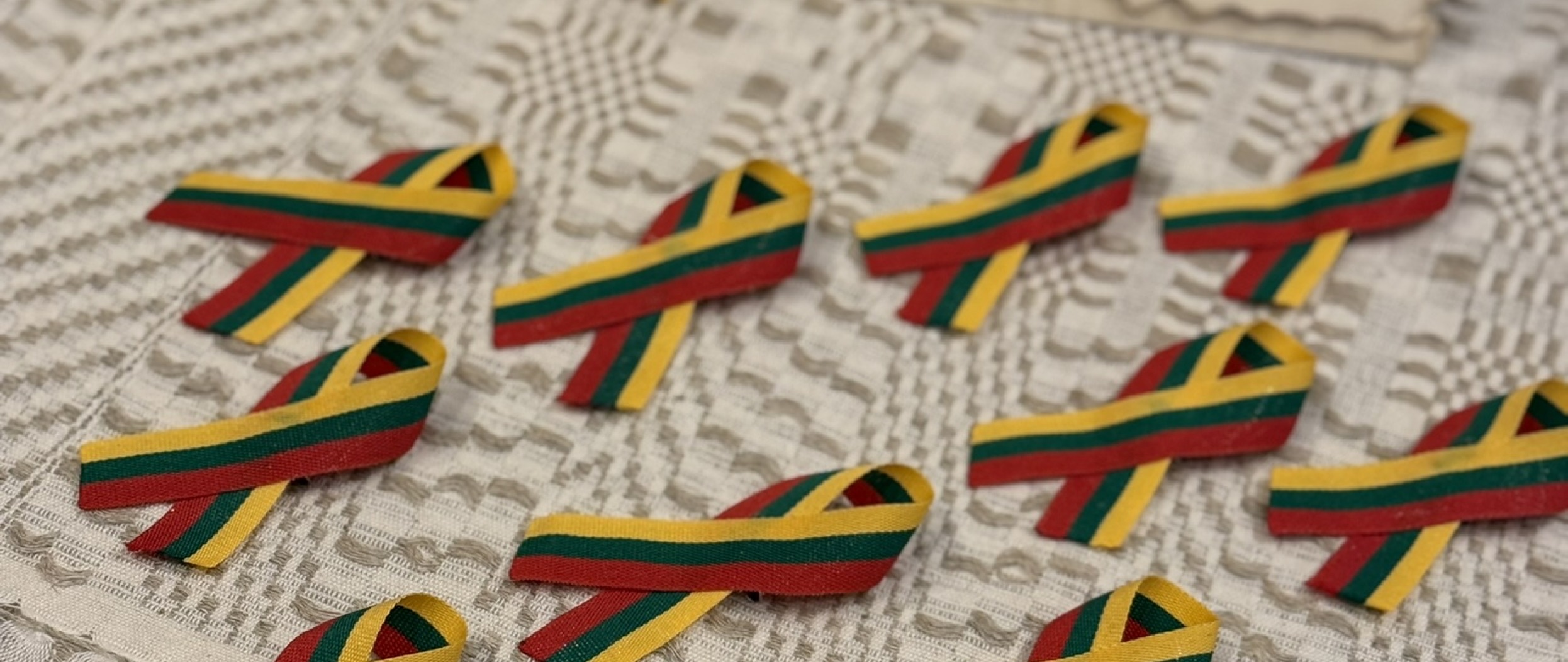 Tautinė atributika Varėnos socialinėse dirbtuvėse