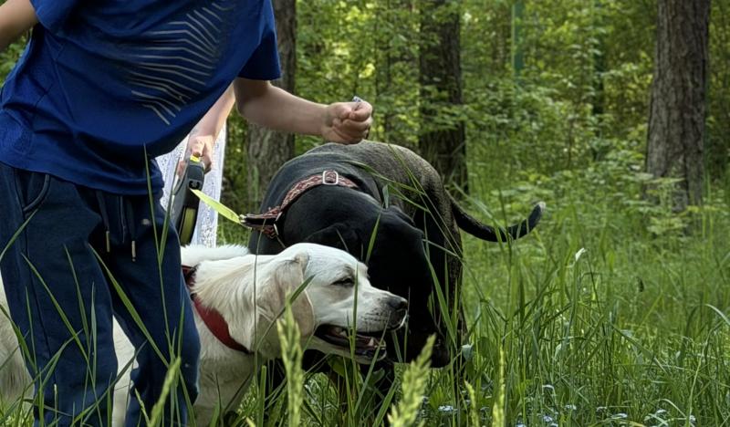 Penktajame kaniterapijos susitikime – judesio džiaugsmas, gamtos pažinimas ir keturkojų paslaptys