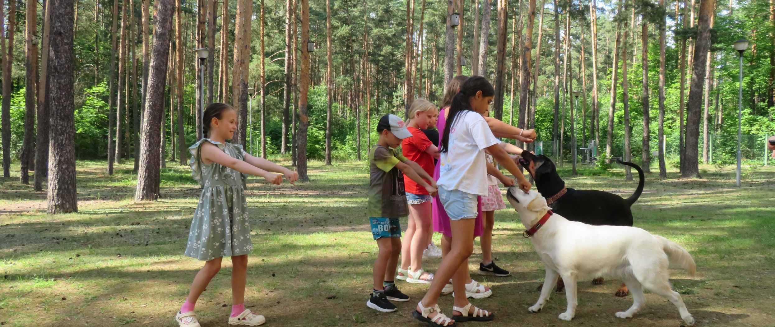 Ypatingos empatijos ir rūpesčio pamokos dešimtajame kaniterapijos užsiėmime